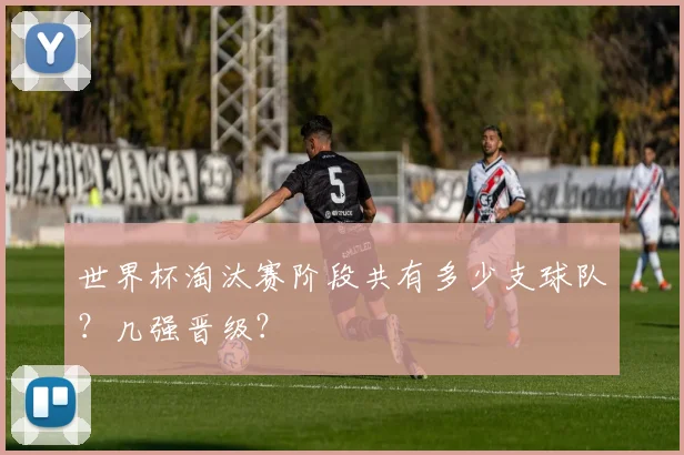 世界杯淘汰赛阶段共有多少支球队?几强晋级?