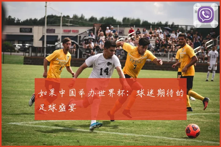 如果中国举办世界杯：球迷期待的足球盛宴