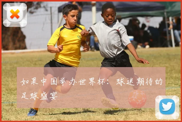 如果中国举办世界杯：球迷期待的足球盛宴