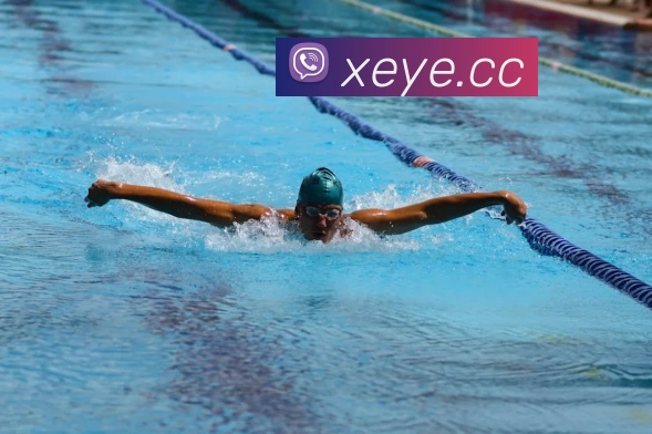 环球在线官网平台生态图